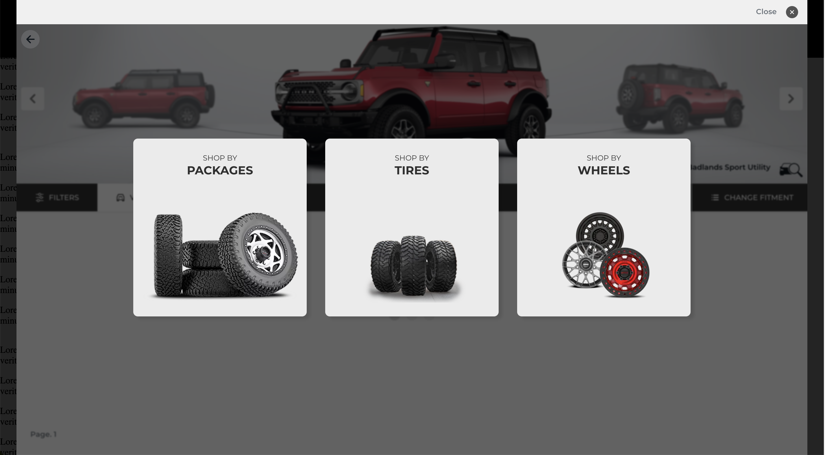 Widget overlay
